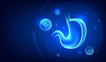 Stylized stomach graphic on dark background vector