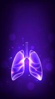 Stylized human lungs illustration vector