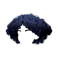 Curly hair illustration vector