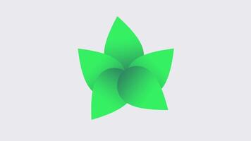 Three stylized green leaves placed on a light grey backdrop, representing nature, growth or health iconography in a minimal art style video