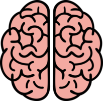 Human Brain Icon png