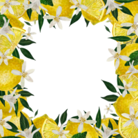 Lemon Fruits Square Frame. Hand drawn watercolor illustration of Border with Citrus branches, green leaves, and flowers for icon, invitation cards, logos png