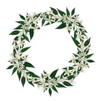 Citrus Blossom Floral Wreath with Green Leaves. Elegant watercolor illustration of white citrus blossoms and rich green leaves , for wedding invitations, branding, designs, decor. png