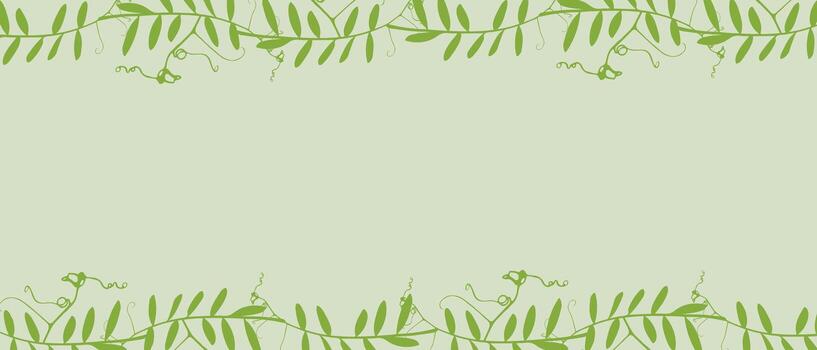 Botanical green banner with frame of climbing plants Mouse Pea, empty background for insertion. vector
