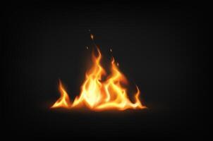 Realistic fire illustration with bright flames dancing on a dark backdrop. The orange and yellow hues evoke warmth and intensity. Ideal for dramatic themes. vector
