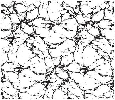 Rough black and white texture . Distressed overlay texture. Grunge background. vector