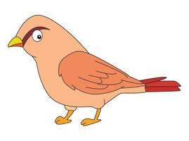 Funny bird isolated on white background vector