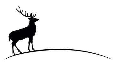 Silhouette of deer. vector