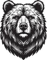 A bear head in a woodcut style vector