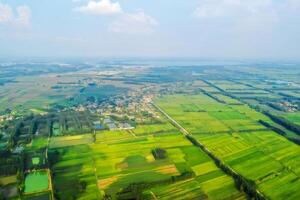 Aerial View of Vast Green Farmland and Rural Village photo