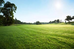 Bright Sunny Day at Lush Green Grass Field photo