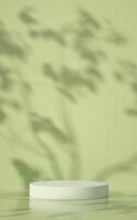 White Product Display Platform with Green Leaf Shadows photo