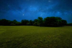 Starry Night Sky Over a Green Field and Trees photo