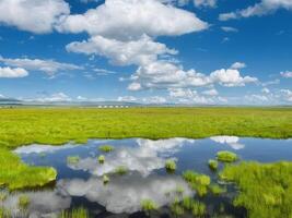 Vast Green Grassland Reflecting Blue Sky photo