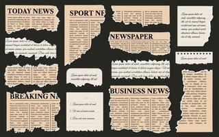 Torn paper and newspaper. Set of torn papers, newspapers, memo notes. Ripped paper sheet and newspaper fragments. vector