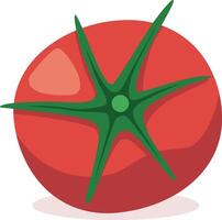Illustration of a red tomato vector