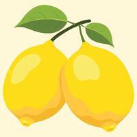two yellow lemons with green leaves vector