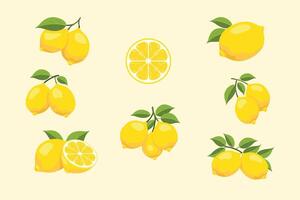Lemon illustrations with leaves vector