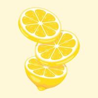 Sliced yellow lemons on a light background vector