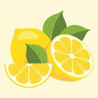 Fresh lemons with green leaves vector