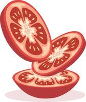 Sliced tomato halves showing texture vector
