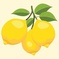 Three yellow lemons with green leaves vector