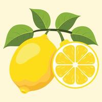 fresh lemons and green leaves vector