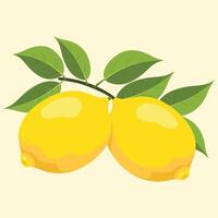 Two lemons with green leaves vector