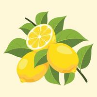 Fresh lemons on green leaves vector