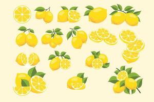 Various lemon illustrations collection vector
