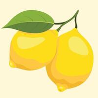 fresh lemons with green leaves vector