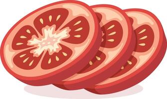 Three sliced tomato pieces vector