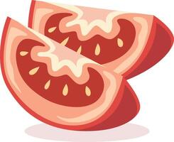 Slice of a fresh tomato vector
