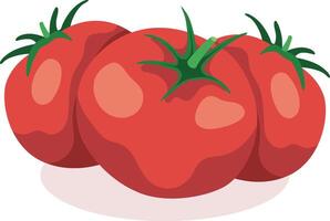 three fresh red tomatoes vector