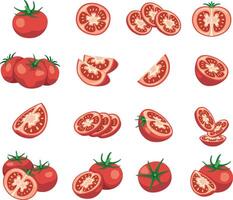 Fresh tomatoes in various cuts and shapes vector