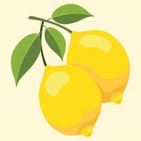 Fresh lemons with leaves vector