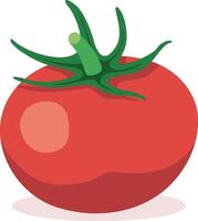 fresh red tomato with green stem vector