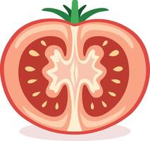 sliced tomato with green top vector