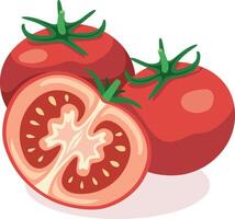 Fresh tomatoes on a white background vector