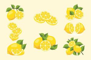 Collection of lemon illustrations vector