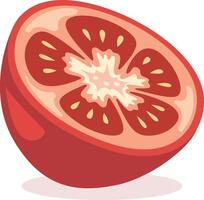 Illustration of a cut tomato vector