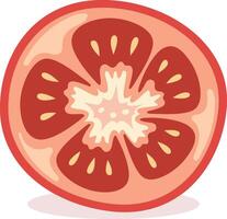 Illustration of a sliced tomato vector