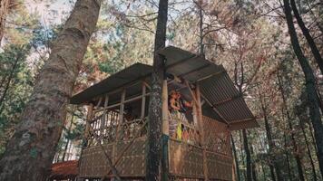 Traditional Javanese Couple on a Treehouse Balcony in a Pine Forest video