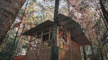 Wide Shot of a Javanese Couple in a Rustic Forest Treehouse video