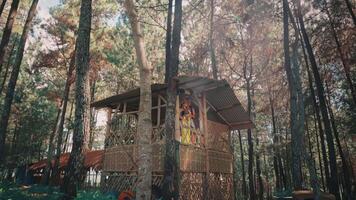 Wide Shot of a Traditional Couple in a Remote Forest Treehouse video