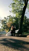 The groom and the bride are sitting on a park bench. Autumn Park and Morning Sun. video