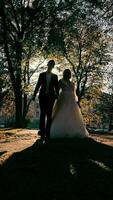 Happy newlyweds strolling through the park. The sun's rays illuminate the silhouette of a young couple video
