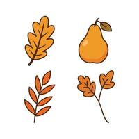 Fall leaves and pear illustration vector