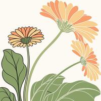 illustration of pink gerbera flower vector