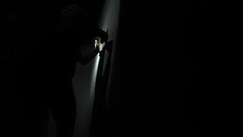Mysterious Shadowy Figure in Dim Light video